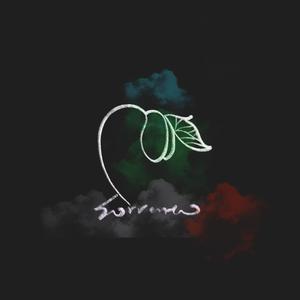 九九精品视频在线观看
